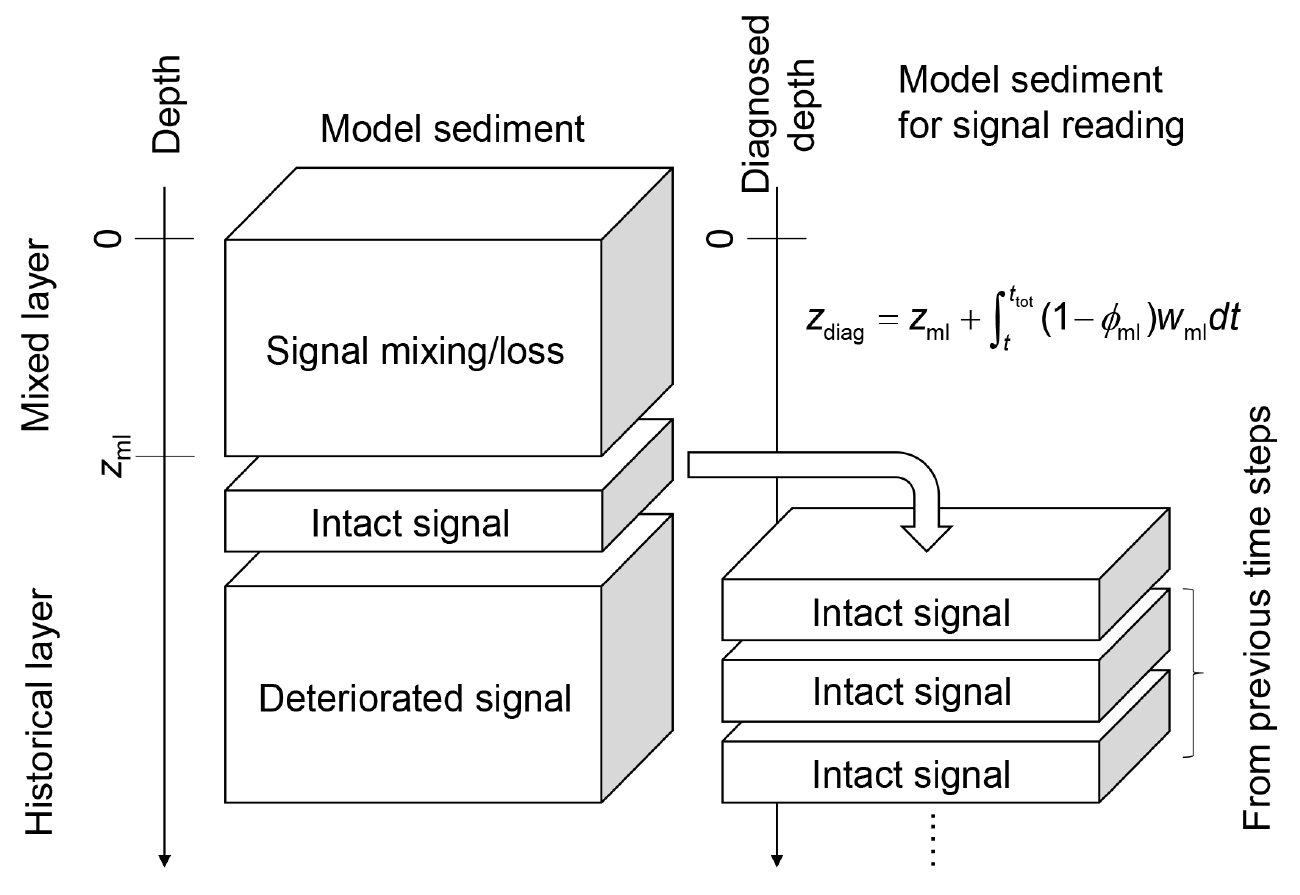 Schematic of the IMP sediment model showing how sedimentary signals are mixed or lost near the sediment surface, deteriorate during burial, and are tracked through successive sediment layers.