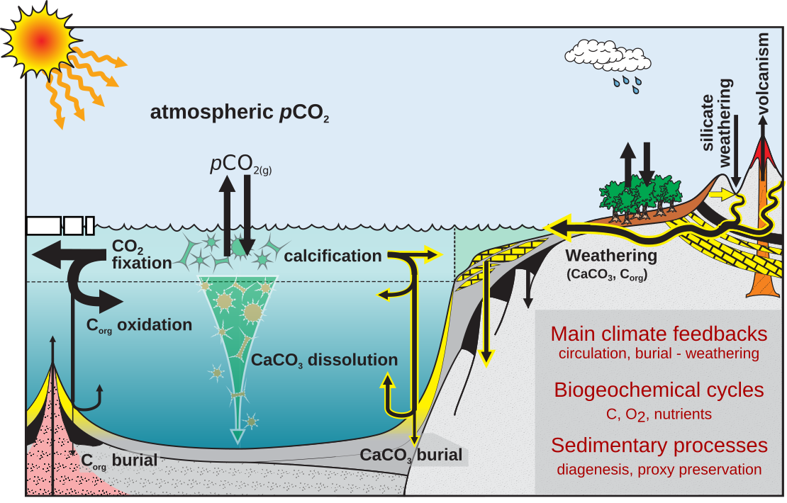 Schematic of the cGENIE Earth-system modelling framework, representing interactions between the ocean, atmosphere, marine biogeochemistry, weathering, and sediments.