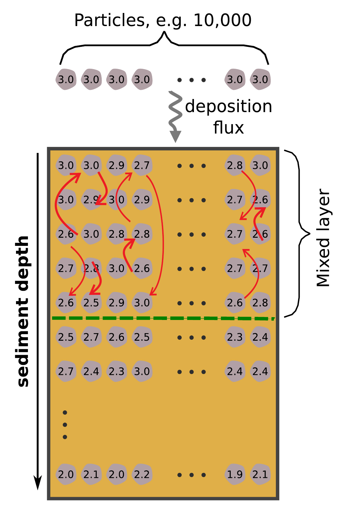 Schematic of the iTURBO2 model showing the deposition of signal-carrying particles and their mixing by bioturbation within the upper sediment layer.
