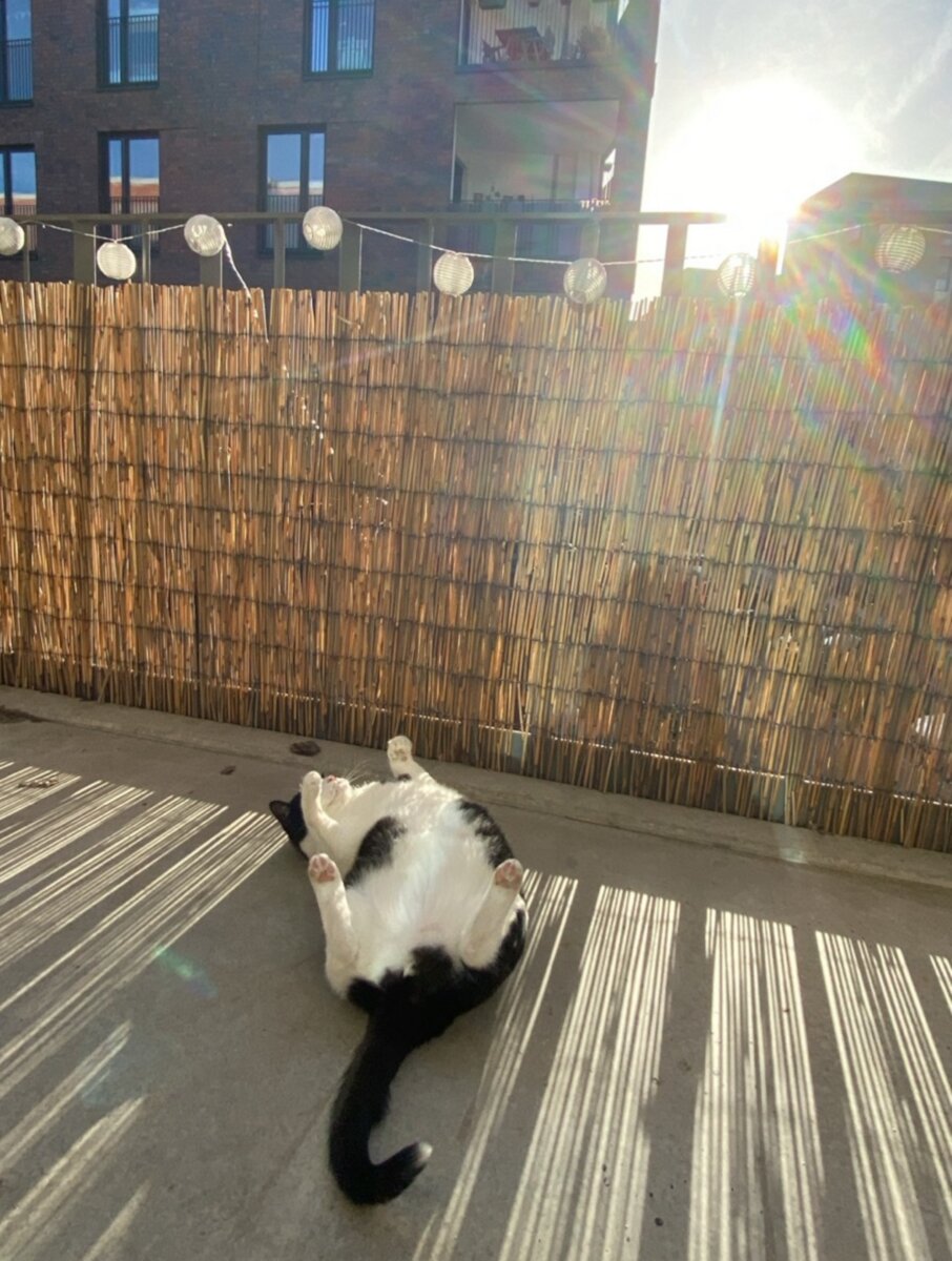 Owen sitting in the sun