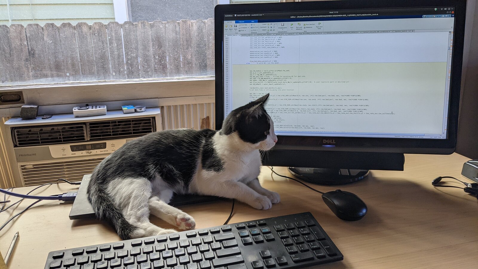 Owen inspecting MATLAB code