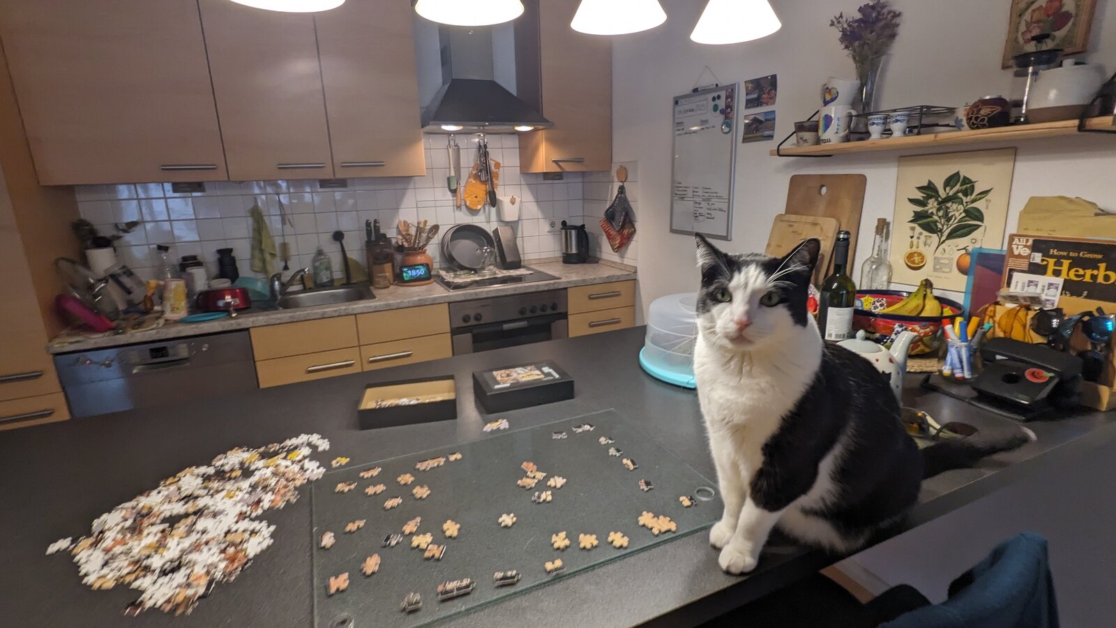 Owen working on a large jigsaw puzzle