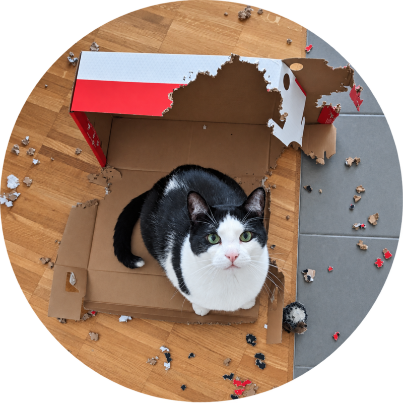 Owen sitting in a cardboard box